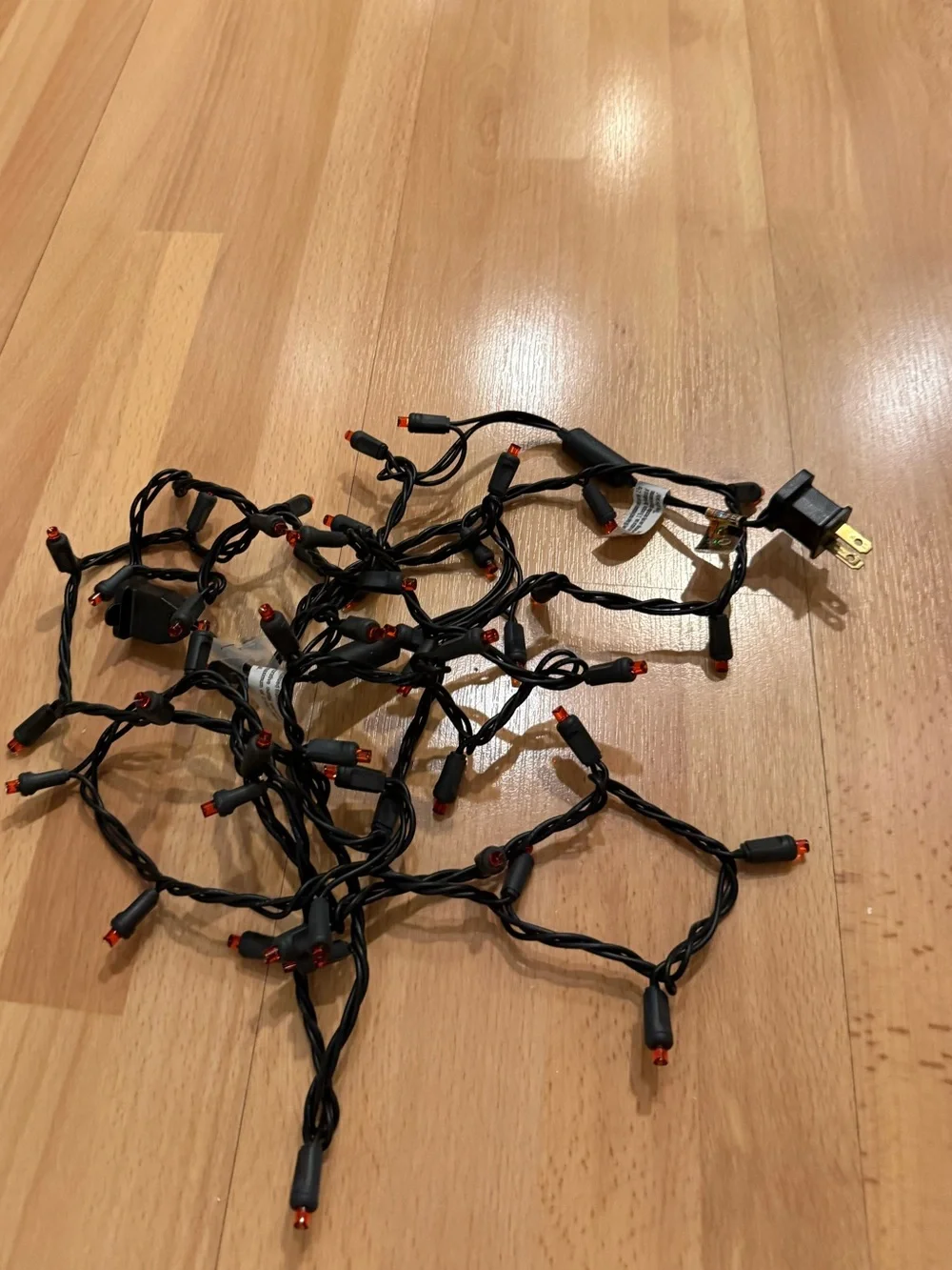 String Lights with Red Tips - Black Cord